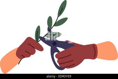 Gardeners hands wearing gloves use pruning shears or scissors to trim branches. Gardening tools. Arms caring for plants in garden. Tree stem cutting Stock Vector