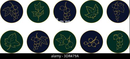 Luxury Golden Currant Icon Set. Round Highlights with Botanical Line Art on Dark Green and Navy Blue. Isolated Outline Hand-Drawn Elements. Vector ill Stock Vector