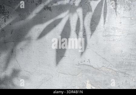 Gray grunge textured wall with multiple elongated leaf shadows in high contrast. Horizontal close-up angle, ample copy space Stock Photo