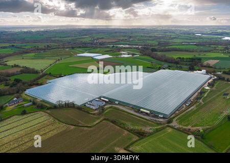 Aerial view of shimmering greenhouses stretching across the landscape under a dramatic sky, a tapestry of green fields and dark earth, Trédarzec, Bret Stock Photo