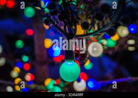 A Christmas tree with many lights on it. The lights are of different colors and are hanging from the tree Stock Photo