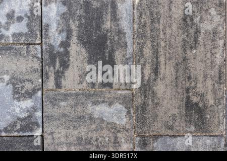 Grey stone pavement with rectangular concrete pavers forming textured urban surface pattern Stock Photo