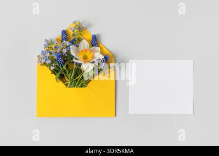 Yellow envelope with clean white sheet of paper for your text and spring flowers muscari, daffodils and blue brunnera sibirica on gray background. Invitation to the holidays. Flat lay. Stock Photo