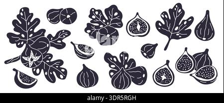 Fig fruit silhouettes. Black icons, branches with leaves and whole, cut fruits, graphic stamps, decorative plant elements for design, botanical Stock Vector