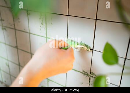 Hand applying green grout material between white ceramic kitchen tiles, renovating kitchen backsplash by filling existing joints and improving surface aesthetics and cleanliness Stock Photo