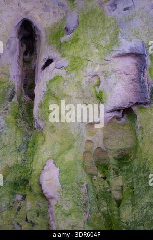 Details of impressive Vladikine ploce cave in Serbia, with red rocky walls covered by erosion and green moss Stock Photo