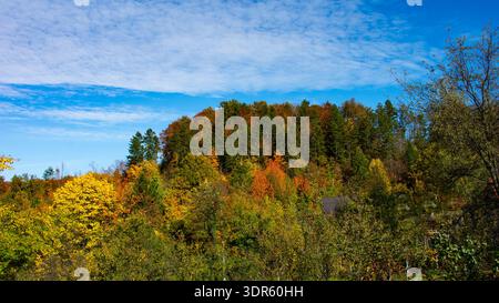 The surroundings of my city are transformed into a colorful carpet of beautiful colors when autumn comes. Stock Photo