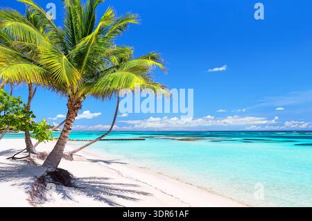 Beautiful white sand beach and turquoise water of Caribbean sea in Cap Cana, Dominican Republic. Relaxation and travel concept Stock Photo