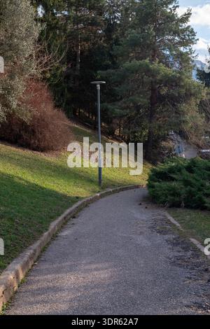 Hill road surrounded by trees Stock Photo