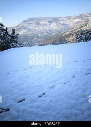 Snow covered mountain landscape with trail of footprints under clear blue sky. Stock Photo