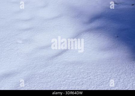 Minimalist winter texture featuring long blue shadows on pristine white snow. Stock Photo