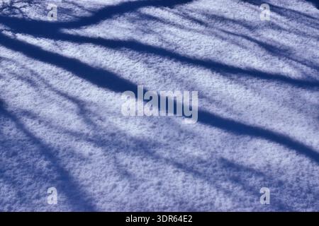 Minimalist winter texture featuring long blue shadows on pristine white snow. Stock Photo