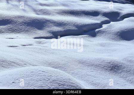 Minimalist winter texture featuring long blue shadows on pristine white snow. Stock Photo