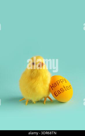Chicken and easter egg on blue background. Happy Easter Stock Photo