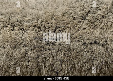 Close-up fragment of soft fluffy faux fur texture in warm gray color. Synthetic fur surface suitable for background, textile design, fashion, winter, Stock Photo