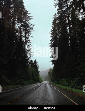 Scenic view of a winding road surrounded by tall evergreen trees under a cloudy sky Stock Photo