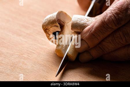 Woman hands cutting mushrooms on wooden table. Hands cooking healthy vegetables. Hands of man cutting mushrooms with knife in kitchen. Copy space Stock Photo