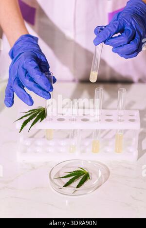 A close-up of a hand in a blue glove holding a laboratory test tube. Stock Photo