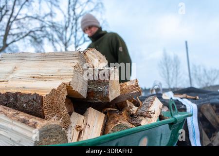 Preparing Firewood for Heating Season in Snow. Stock Photo