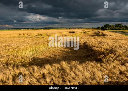 Wind break Stock Photo