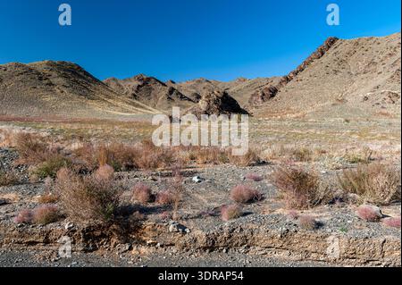 A dried-up riverbed in the Mongolian steppe Stock Photo