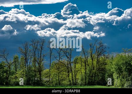 Dramatic storm clouds over a natural landscape with meadow and deciduous trees in telephoto Stock Photo