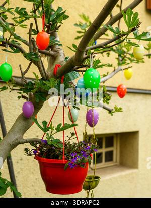 Small garden tree adorned with painted Easter eggs and hanging flower pot. Cheerful seasonal decoration in a cozy backyard. Stock Photo