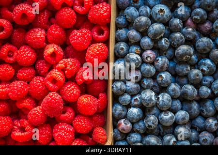 Blueberries and raspberries background Stock Photo