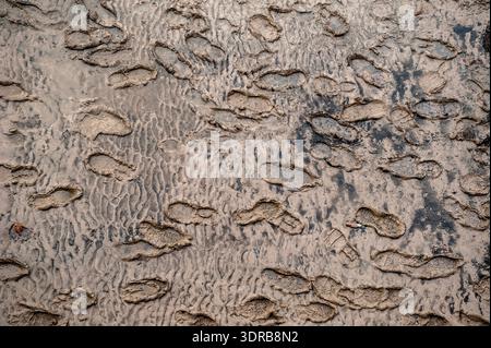 Footprints in the mud when floodwater has run off Stock Photo
