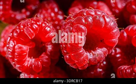 Close up of fresh raspberries. Stock Photo