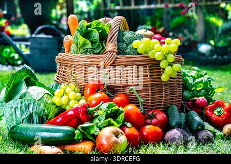 Wicker basket with vegetables and fruits in the garden Stock Photo