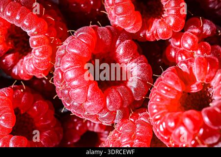 Close up of fresh raspberries. Stock Photo