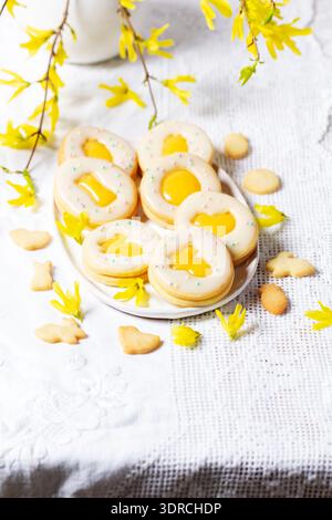 Easter egg cookies with lemon orange curd, covered with white icing and forsythia flowers. Stock Photo