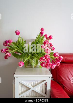 Pink tulip flower bouquet Pink tulip bouquet on white side table, red leather sofa at right, natural morning Stock Photo