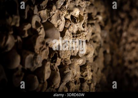 Human skull set into an ossuary wall, lit in warm tones with soft blur behind, evoking history and mortality; perfect for horror, museum, travel, and Stock Photo