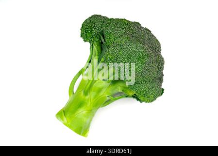 Fresh Broccoli Floret Isolated on White Background: Healthy Vegetable for Nutrition and Diet. High quality photo Stock Photo