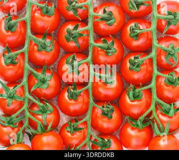 Red cherry tomatoes on branches close-up. Culinary background. Fresh vegetables. Selective focus, to Stock Photo