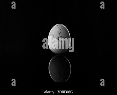 cracked white egg on black background with reflection Stock Photo