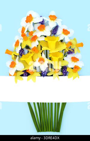 Bunch of Springtime, Easter narcissus, daffodil, grape hyacinth flowers on blue, white banner. Floral nature decoration design, symbols of Spring. Stock Photo