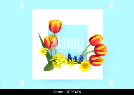 Vivid spring flower background border decoration on blue, wihite square frame. Easter Springtime. Floral nautre arrangement for greeting card. Stock Photo