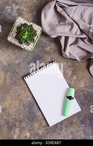 Blank open notebook for writing, pen, succulent in pot and fabric on workplace top and vertical view Stock Photo