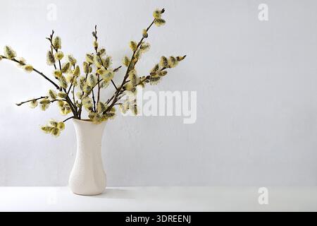 Holiday concept with delicate willow flowers, spring flower arrangement, still life or banner with place for text. Greeting card Stock Photo