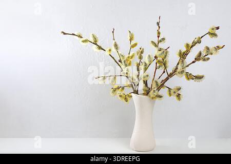 Holiday concept with delicate willow flowers, spring flower arrangement, still life or banner with place for text. Greeting card Stock Photo