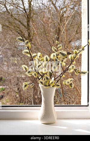 Holiday concept with flowers, spring floral arrangement, still life, banner with delicate willow flowers on a sunny window. Gree Stock Photo