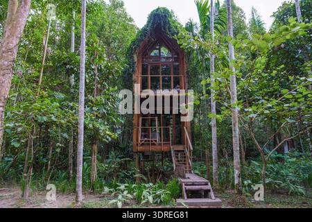 Explore a serene wooden cabin retreat nestled in the lush greenery ...