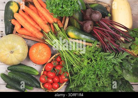 Healthy natural products on wooden table, healthy lifestyle concept.Fresh vegetables, carrots, beets, cucumbers, tomatoes and pu Stock Photo