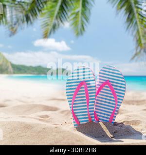 Flip flops on the sea beach Stock Photo