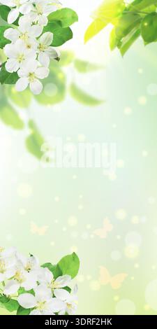 Cherry blossoms.Young green plants lit by sunlight, calm spring mood. Stock Photo