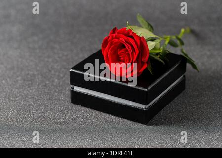 Single red rose flower with black gift box on blurred dark silver glitter background. Celebration greeting card mockup with copy space Stock Photo