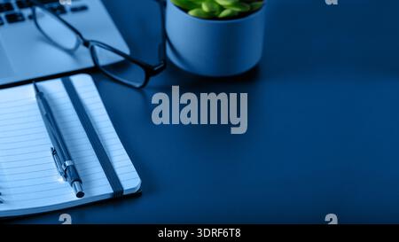 Minimal workplace with laptop, notepad, small succulent and accessories in classic blue color 2020. Selective focus Stock Photo